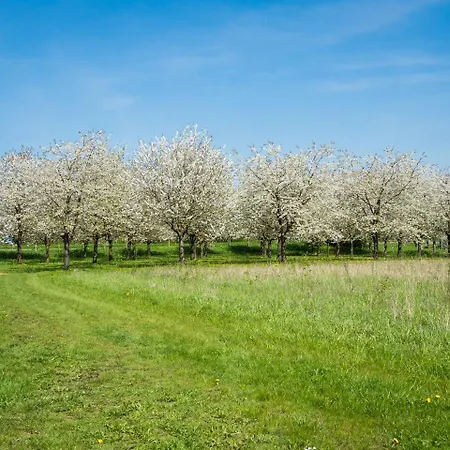 De Oosterling-2